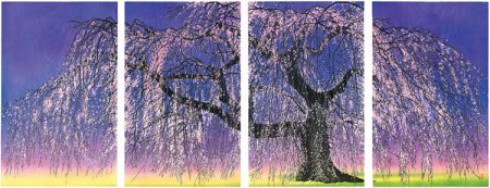 Oo shidare-zakura no zu（drawing of big weeping cherry tree）（Hirosaki Park）